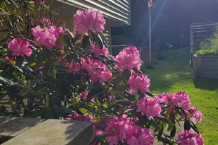 165 Thelma Dr, Battle Creek, MI 49014 - Photo 31