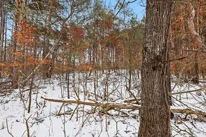 3618 Russell Street NE, Cedar Springs, MI 49319 - Photo 9