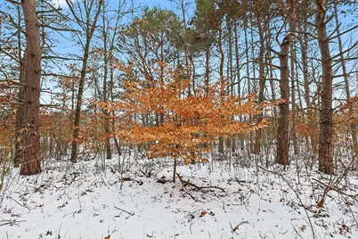 3618 Russell Street NE, Cedar Springs, MI 49319 - Photo 11