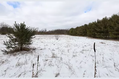 3750 Russell Street NE, Cedar Springs, MI 49319 - Photo 7