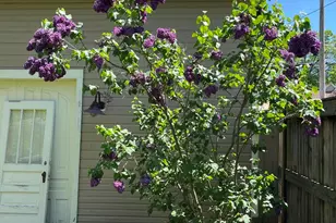 65 S Howell St, Hillsdale, MI 49242 - Photo 49