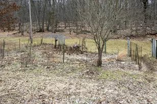 234 Washington St, Chelsea, MI 48118 - Photo 13