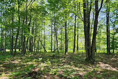 6127 Fawn Lake Drive, Canadian Lakes, MI 49346 - Photo 7