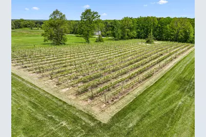 438 E Snow Road, Baroda, MI 49101 - Photo 5