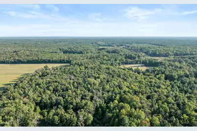 4201 E 20th Street, White Cloud, MI 49349 - Photo 29