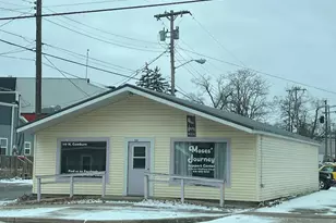 119 N Camburn St, Stanton, MI 48888 - Photo 1