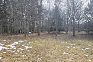 8020 Day Rd, Bellevue, MI 49021 - Photo 23