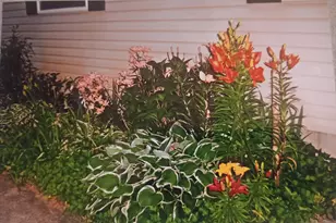 167 Mill Rd, Blanchard, MI 49310 - Photo 15