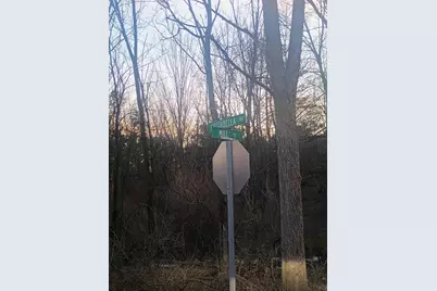 167 Mill Road, Blanchard, MI 49310 - Photo 19