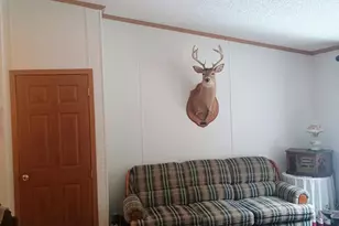 167 Mill Rd, Blanchard, MI 49310 - Photo 5