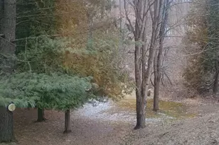 167 Mill Rd, Blanchard, MI 49310 - Photo 21