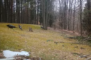 167 Mill Rd, Blanchard, MI 49310 - Photo 17