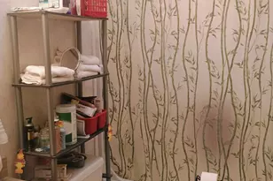 167 Mill Rd, Blanchard, MI 49310 - Photo 11