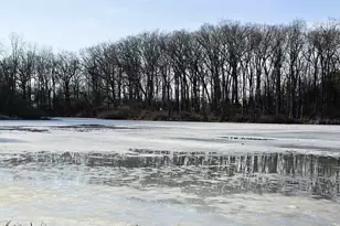 3139 Lexington Dr, Ann Arbor, MI 48105 - Photo 63