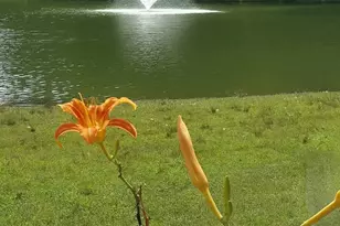 65650 Dailey Rd, Edwardsburg, MI 49112 - Photo 9