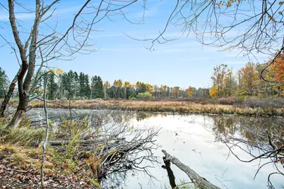 15800 N Drive N, Marshall, MI 49068 - Photo 5