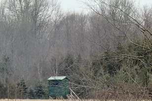 5232 Barryville Rd, Nashville, MI 49073 - Photo 7