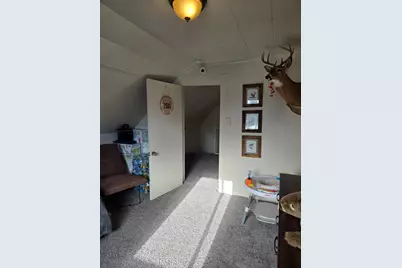 808 Wallace Street, Cadillac, MI 49601 - Photo 37