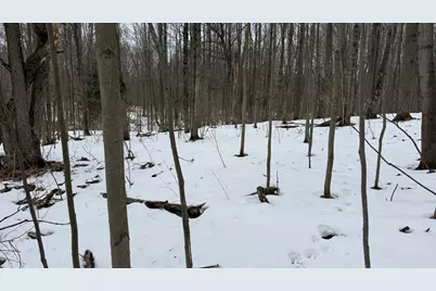 6416 S Taylor Road, Branch, MI 49402 - Photo 3