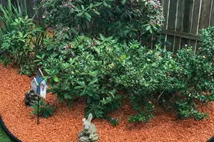 1201 Mills Ave, Muskegon, MI 49445 - Photo 45