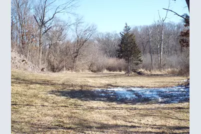 Vl Brills Lake Road, Jackson, MI 49201 - Photo 5