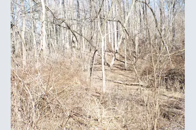 Vl Brills Lake Road, Jackson, MI 49201 - Photo 3