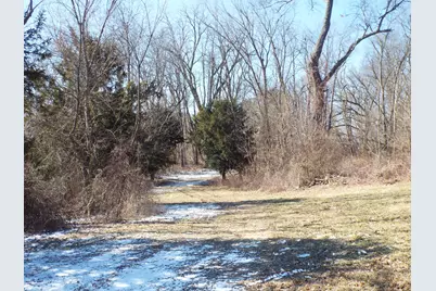 Vl Brills Lake Road, Jackson, MI 49201 - Photo 11