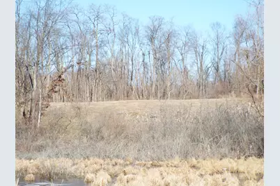 Vl Brills Lake Road, Jackson, MI 49201 - Photo 13