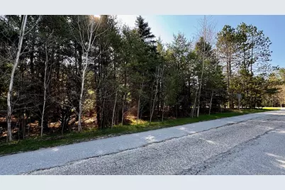 Lot # 9 Whitetail, Cadillac, MI 49601 - Photo 3