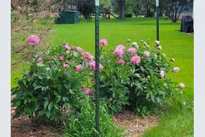 829 Thorntree Boulevard, Jackson, MI 49203 - Photo 31