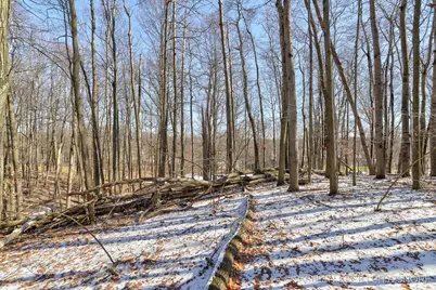 11260 Apache Wells Court, Canadian Lakes, MI 49346 - Photo 3