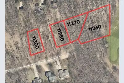 11280 Apache Wells Court, Canadian Lakes, MI 49346 - Photo 3