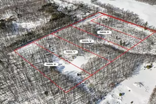 Lot C Rolling Ridge Rd, Allegan, MI 49010 - Photo 1