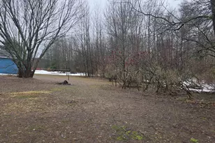 12218 7th St, Bear Lake, MI 49614 - Photo 43