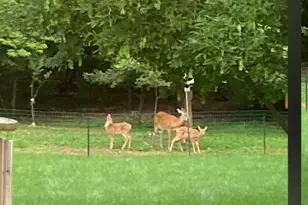 3353 Babylon Rd, Allegan, MI 49010 - Photo 43