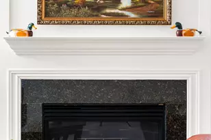 1649 Chapleau Dr, Ann Arbor, MI 48103 - Photo 59