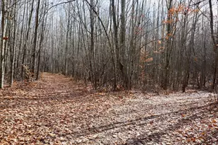 6495 Jackson Ave, Lake, MI 48632 - Photo 33