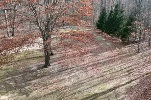 6495 Jackson Ave, Lake, MI 48632 - Photo 47