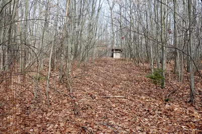 6495 Jackson Avenue, Lake, MI 48632 - Photo 39