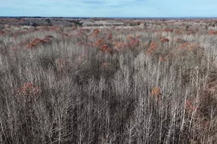 6495 Jackson Ave, Lake, MI 48632 - Photo 45