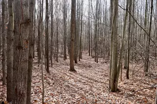 6495 Jackson Ave, Lake, MI 48632 - Photo 41