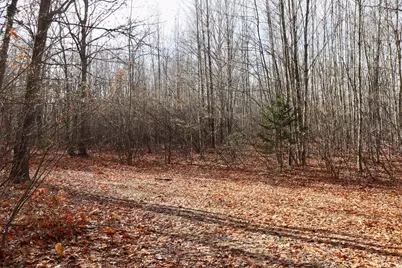 6495 Jackson Avenue, Lake, MI 48632 - Photo 11