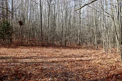 6495 Jackson Avenue, Lake, MI 48632 - Photo 35