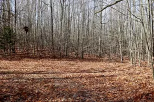 6495 Jackson Ave, Lake, MI 48632 - Photo 35