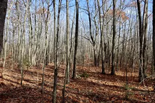 6495 Jackson Ave, Lake, MI 48632 - Photo 31