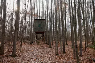 6495 Jackson Ave, Lake, MI 48632 - Photo 37