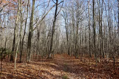 6495 Jackson Avenue, Lake, MI 48632 - Photo 29