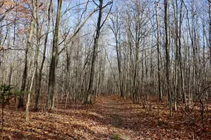 6495 Jackson Ave, Lake, MI 48632 - Photo 29