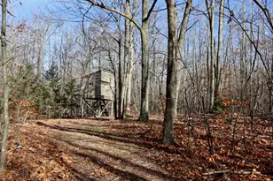 6495 Jackson Ave, Lake, MI 48632 - Photo 5