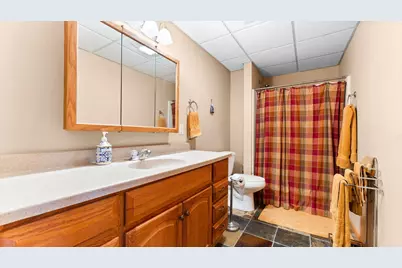 13240 Redmonds Hill Court, Chelsea, MI 48118 - Photo 59